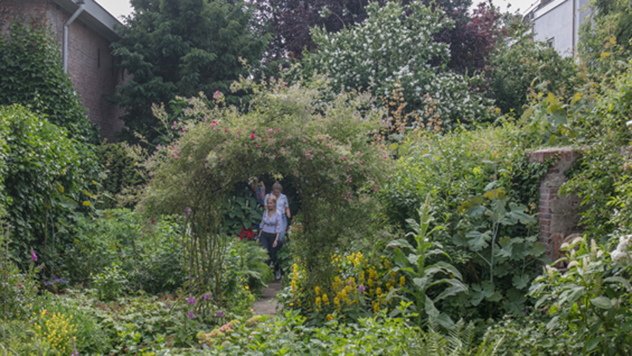 Open tuinendag