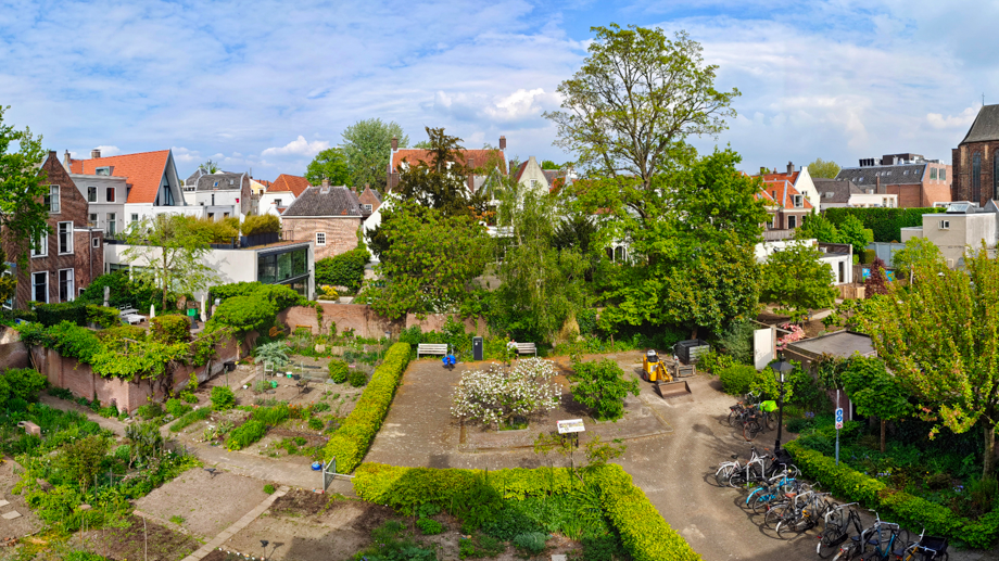 De Catharinatuinen, waar de vroedmeesterpad fluit