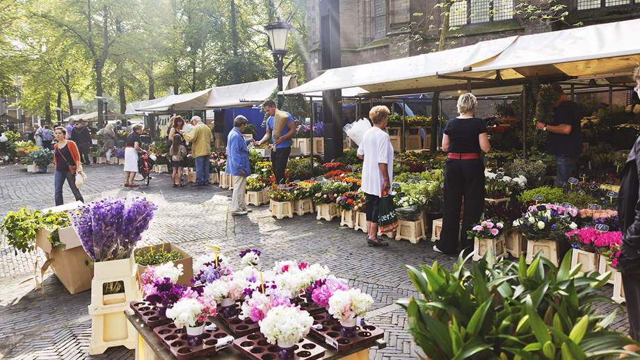 Nieuws:Standhouders bloemenmarkt slaken weer noodkreet