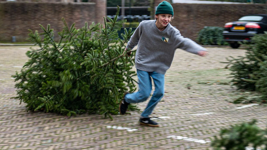 Inzamelpunt kerstboom Binnenstad