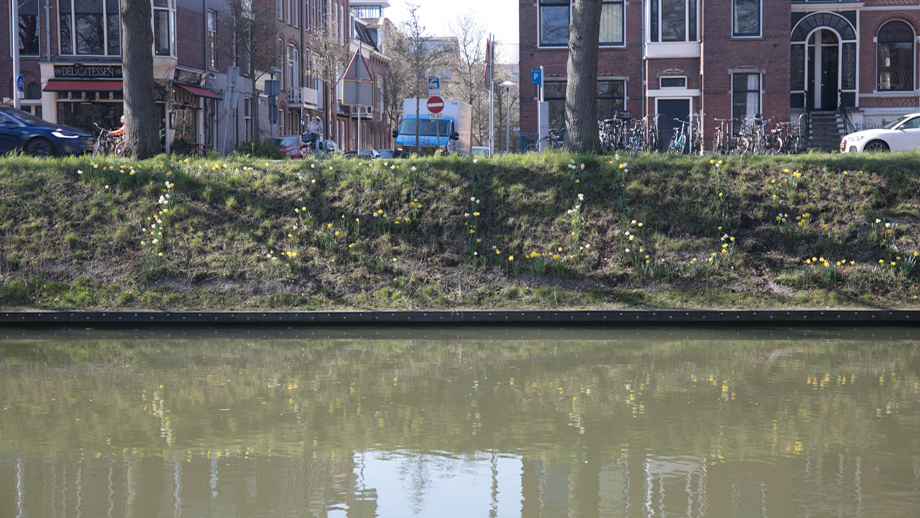 Oude Truus doet ‘t beter dan de nieuwe