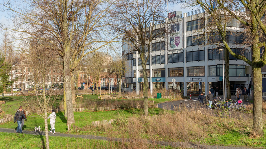 Reactie Wijk C-bewoners op sekswerkplekken garage Paardenveld